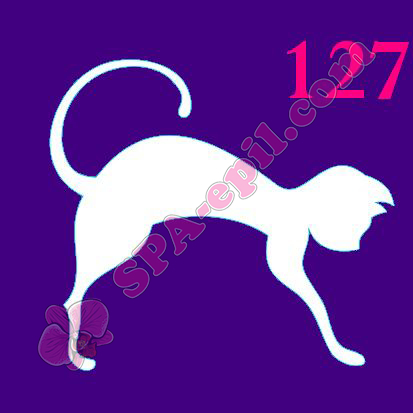 Трафарет для биотату № 127 ("Кошка")