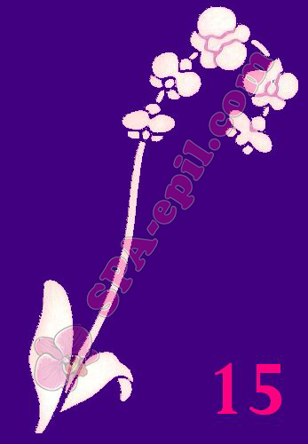 Трафарет для биотату № 15 ("Орхидеи 15")