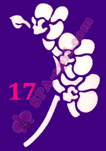 Трафарет для биотату № 17 ("Орхидеи 17")
