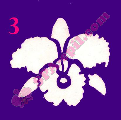 Трафарет для биотату № 3 ("Орхидеи 3")
